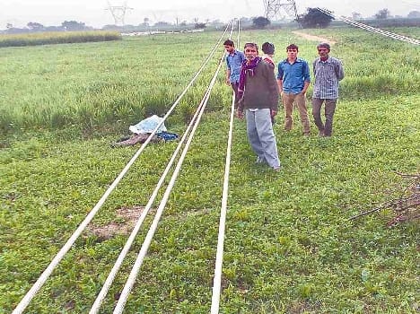 Crop waste three times, not even a penny of compensation